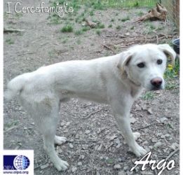 Argo (Bergamo)