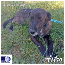 Astro (Paternopoli- AV)