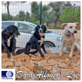 Dora, Alfonso e Loe (Brindisi)
