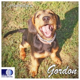 Gordon (Floridia – SR)
