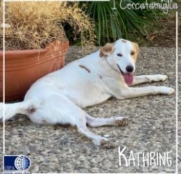 Kathrine (Floridia -SR)