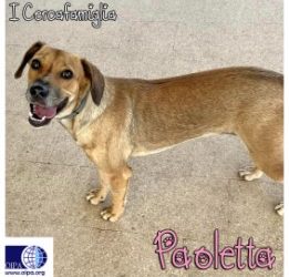 Paoletta (Floridia- SR)