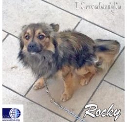 Rocky (Paternopoli – AV)