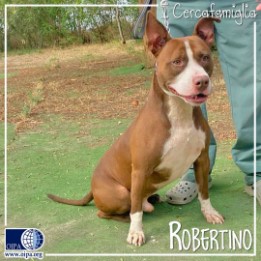 Robertino (Floridia – SR)