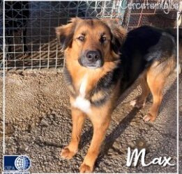 Max (Floridia – SR)