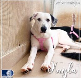 Kayla (Floridia- SR)