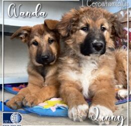 Wanda e Lenny (Termoli – CB)