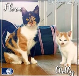 Flora e Willy ( Vicenza)